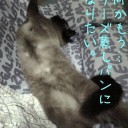 大丈夫