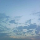 スルメのように