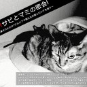 あいからんば [2339号]