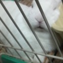 ポカリきた～