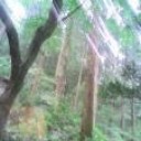 季節の移ろい
