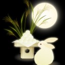 月にウサギはいないもん ! !