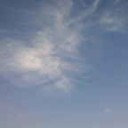 せみと青空と運動会