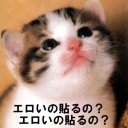 あれ？今日はオシャレじゃん