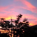 涼しくなってきたのに・・・