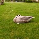 サブドメイン取りました！