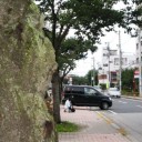 居場所のない秋の夕暮れ　“娘をパパラッチ”　の巻