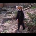 ファンネル１号も