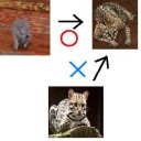 ネコキモイ件について