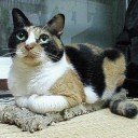 う～ん