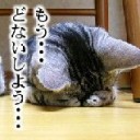 【やるかやられるか】書かねばならぬこと【いややられてる】