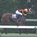 スリープレスナイト