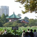 不忍通り