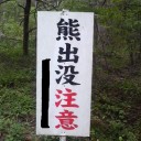森の熊さん