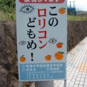 久方に映画など