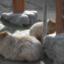 北海道08/10/12おまけ２