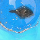 松方Latour宮城を釣る