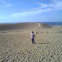 果実と砂丘の旅