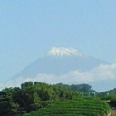 上がったり下がったり・・・
