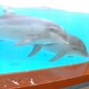 須磨水族館へ