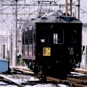 過去の写真から