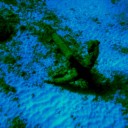 　海の底へ