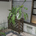日記幕開けの今日。