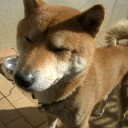 妹。
