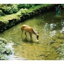 辞めます。