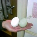ふと思い出したこと