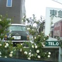 チチネコム