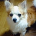 寒さに限界。
