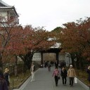 ヤッチマッタ
