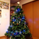 コストコでクリスマス準備。