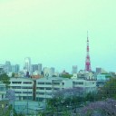 はいはい