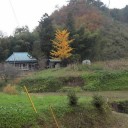 辺境の地だった①