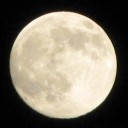 朝の小散歩～