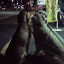 是非、クリックして大きい画像でみて下さい♪
