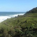 ２００８年 社員旅行　和倉温泉　１１月３日（月・祝）～４日（火）