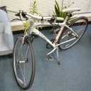 TREK クロスバイク 7.5FX