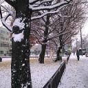 結局。