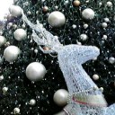 街はクリスマス