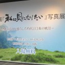 翼君に遭遇