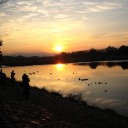 京都嵐山の夜明け