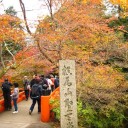 楽しい紅葉ツアーだった