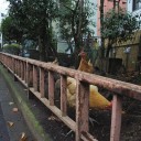 諸悪の根源