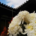 最適形状探査　to consider cost