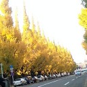 今年も