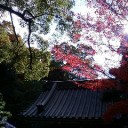 11月29日　やっと新築祝い