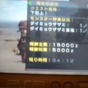 猫がすごい頑張った！